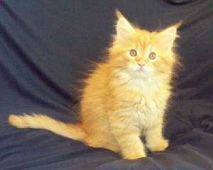 Earl09weeks.jpg