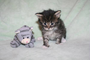 GloriaJean3wks.jpg