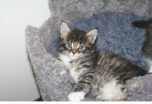 Gloria J 5wks.jpg